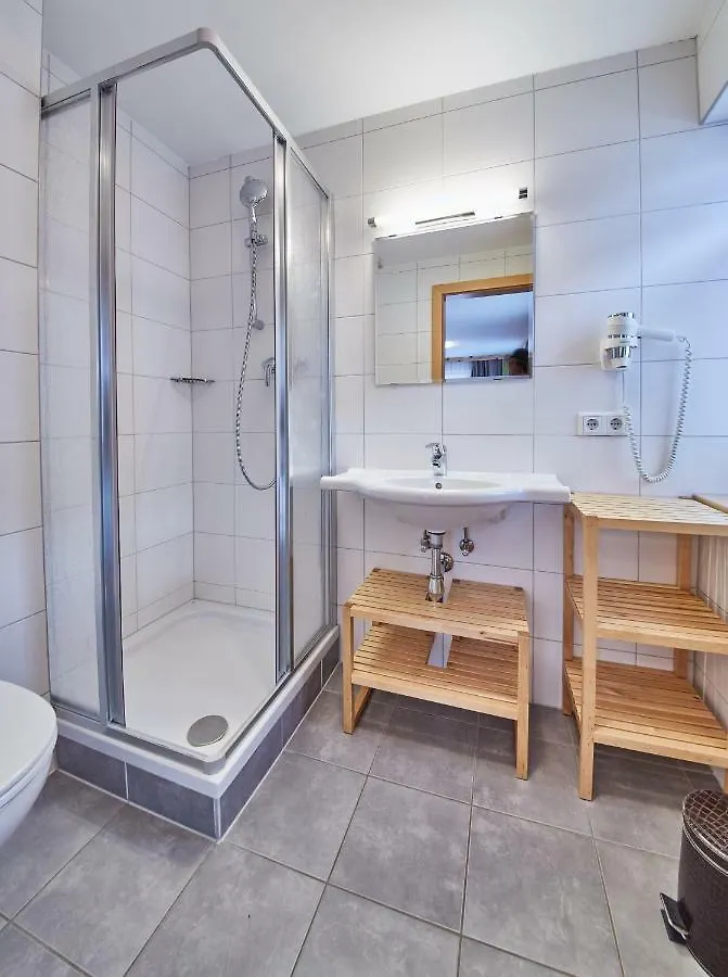 Appartements Hollin Σάαλμπαχ-Χίντεργκλεμ Αυστρία